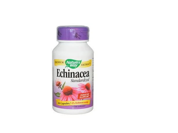 Benefits of Echinacea Supplements